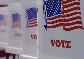 a row of voting booths - photo